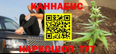 стаф Гатчина