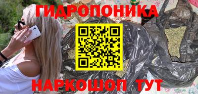 крисы Гагарин