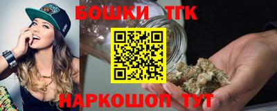 стаф Гатчина