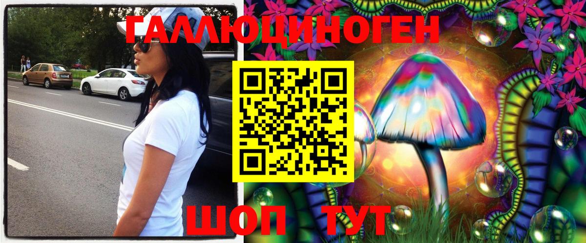 Псилоцибиновые грибы Psilocybine cubensis  Вход с VPN  Выкса 