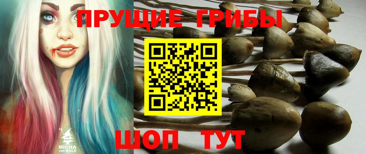 Псилоцибиновые грибы мухоморы Выкса